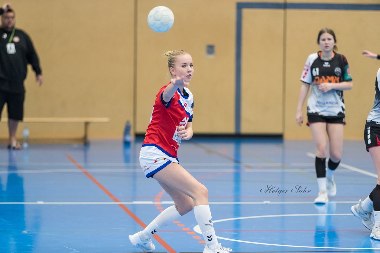Bild 224 - wBJ HC Quickborn - HSG Tills Loew. : Ergebnis: 19:20